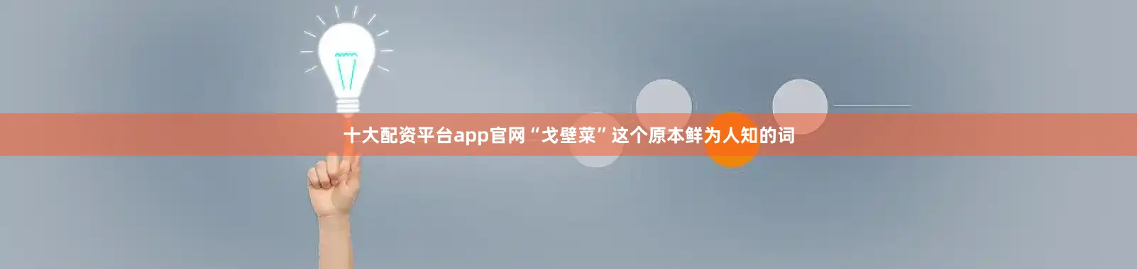 十大配资平台app官网“戈壁菜”这个原本鲜为人知的词