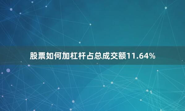 股票如何加杠杆占总成交额11.64%