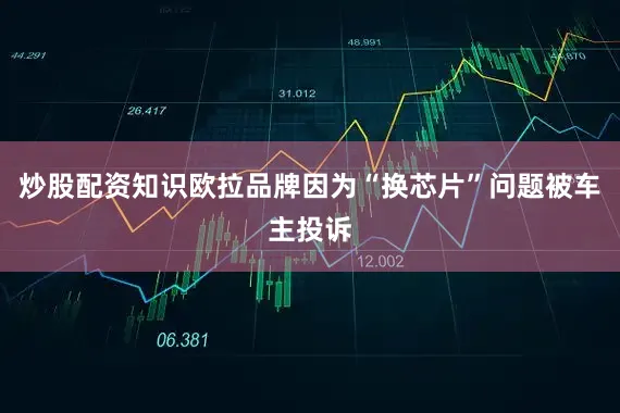 炒股配资知识欧拉品牌因为“换芯片”问题被车主投诉
