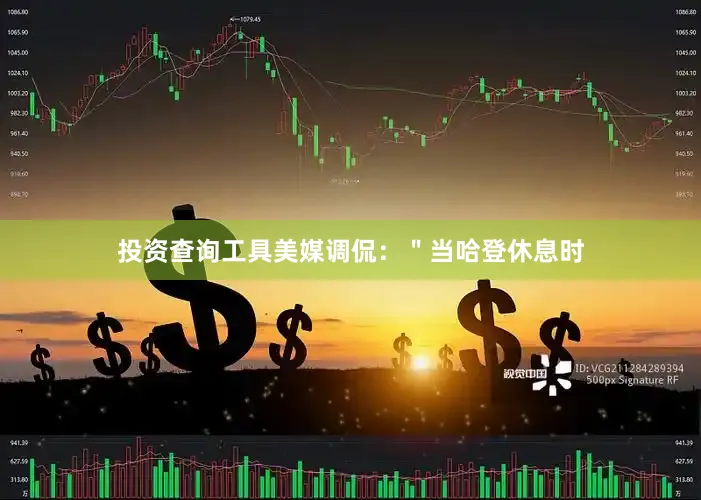 投资查询工具美媒调侃：＂当哈登休息时