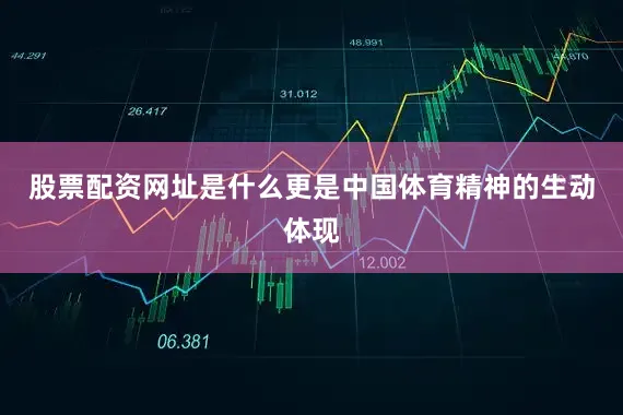 股票配资网址是什么更是中国体育精神的生动体现