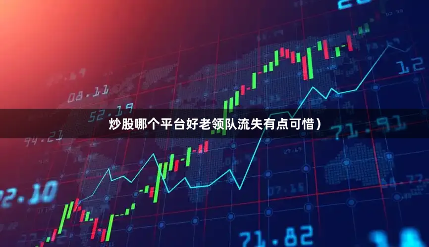 炒股哪个平台好老领队流失有点可惜）
