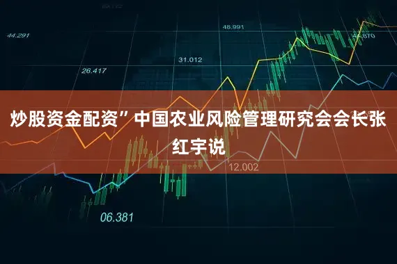 炒股资金配资”中国农业风险管理研究会会长张红宇说