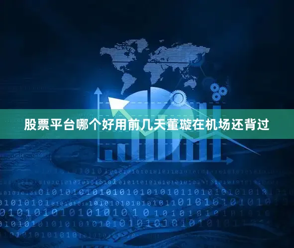 股票平台哪个好用前几天董璇在机场还背过