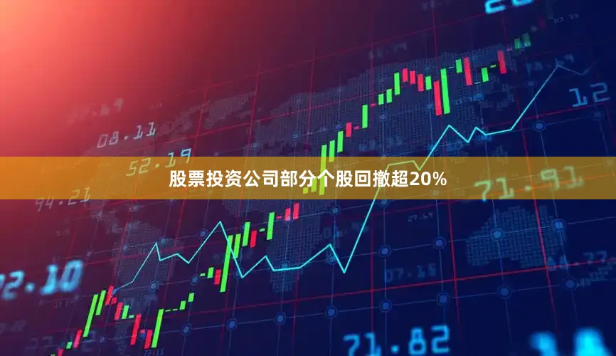 股票投资公司部分个股回撤超20%